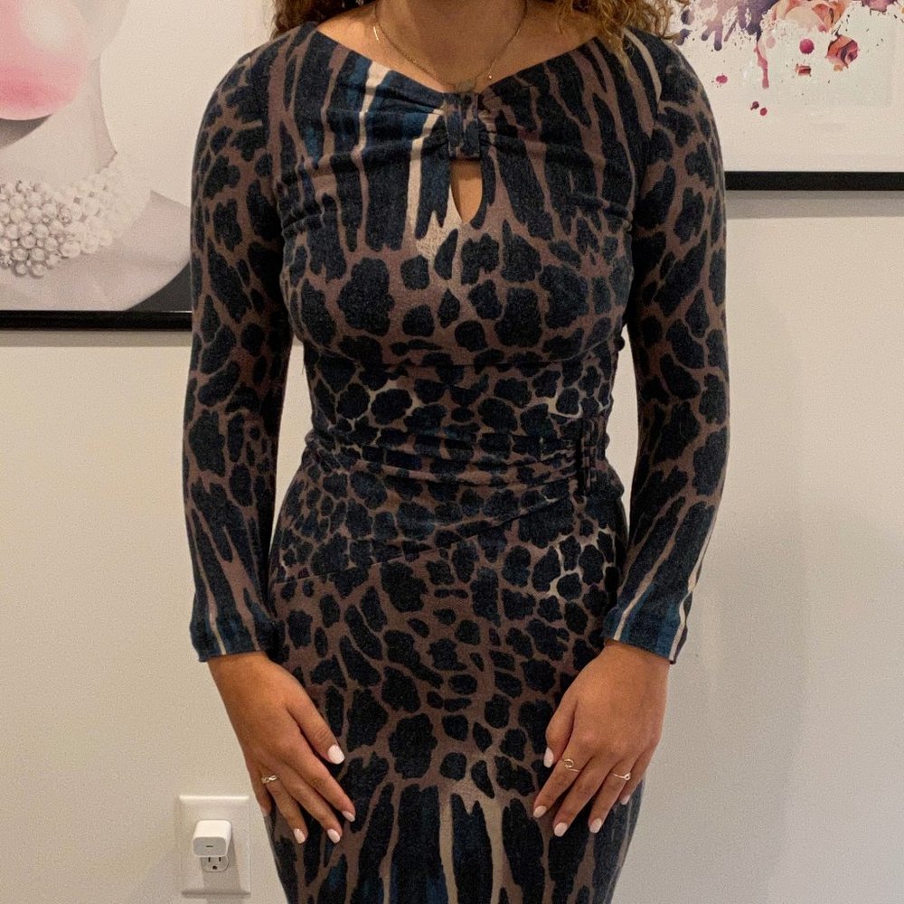 Chaché, Animal Print, Fitted Dress
